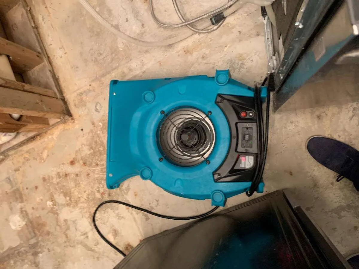 Air mover drying equipment for Mold Remediation & Removal in Moline